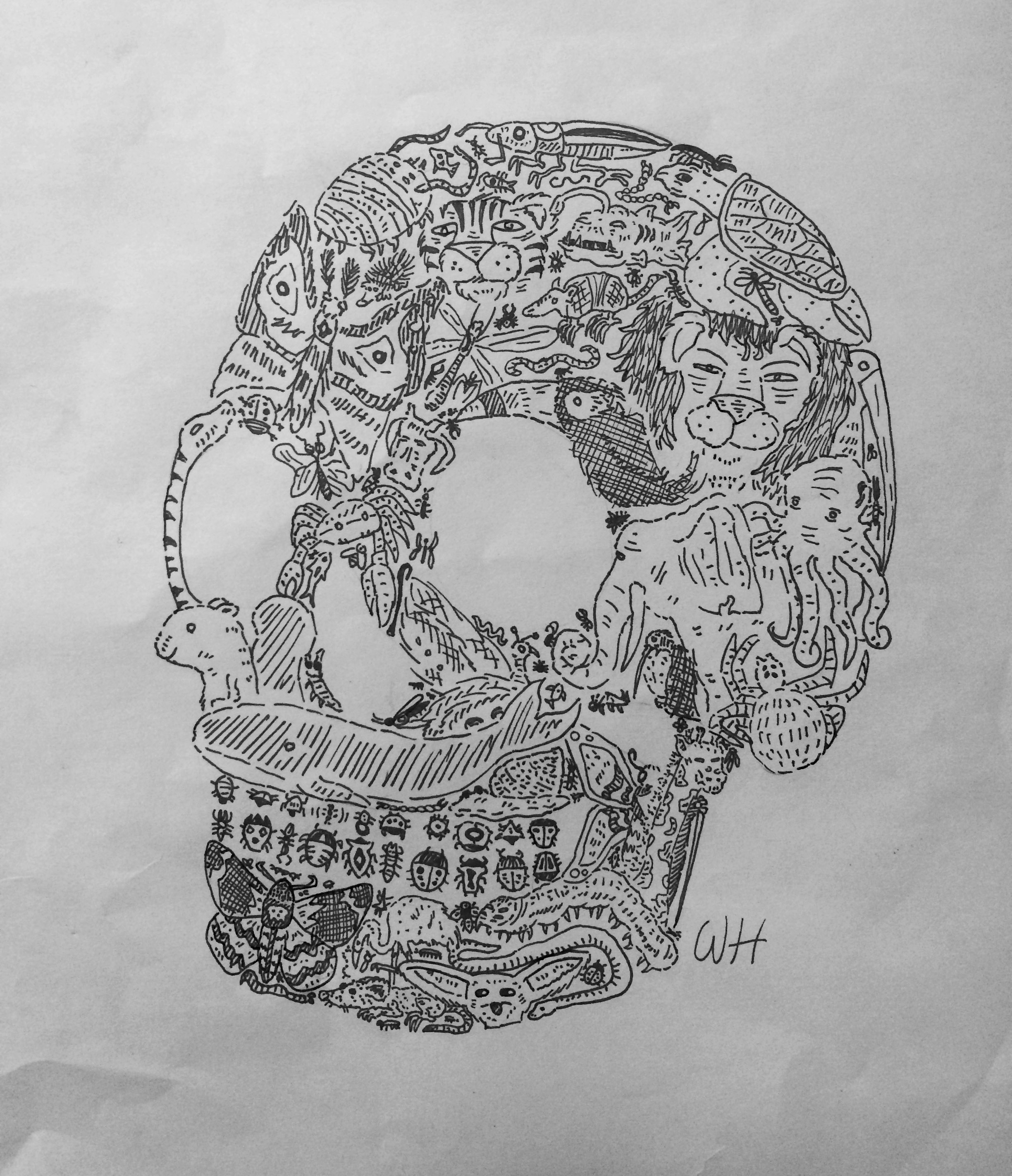 skull