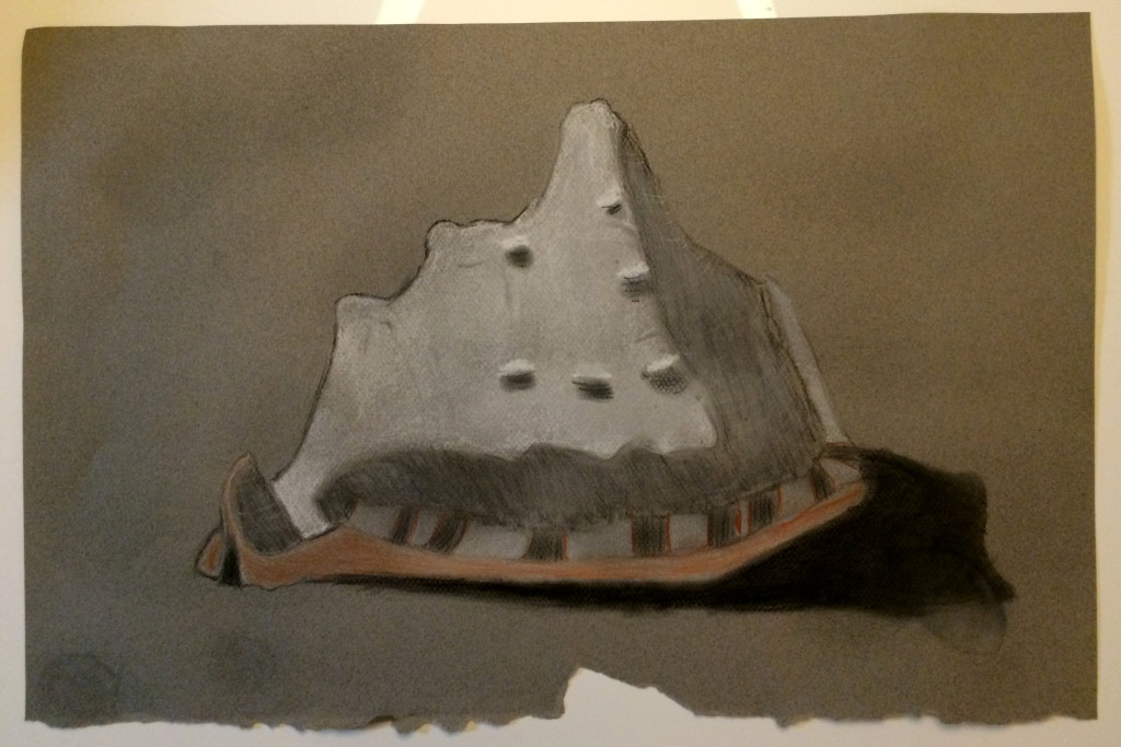 conch