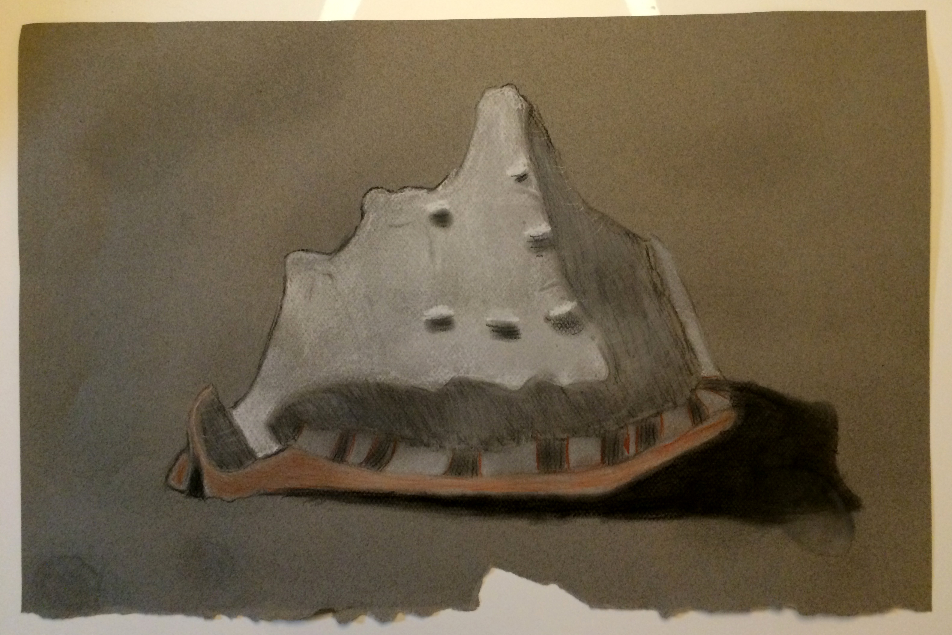 conch